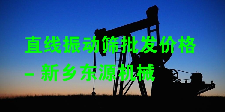 直線振動(dòng)篩批發(fā)價(jià)格 - 新鄉(xiāng)東源機(jī)械