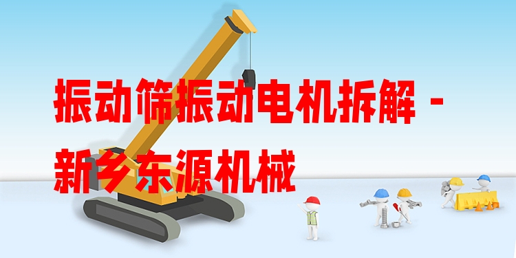 振動篩振動電機(jī)拆解 - 新鄉(xiāng)東源機(jī)械