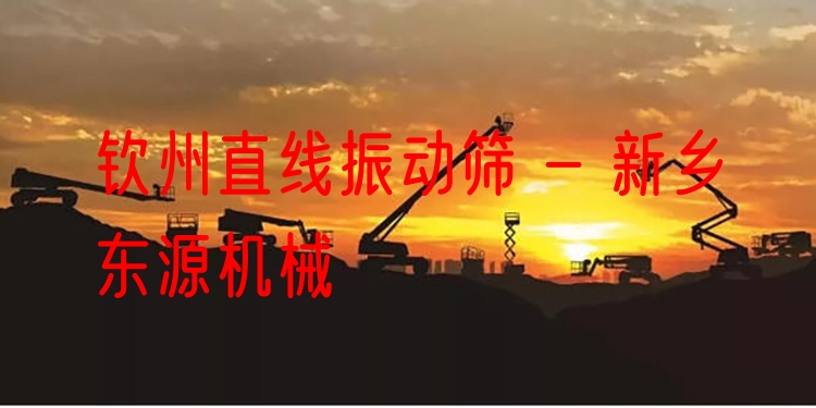 欽州直線振動篩 - 新鄉(xiāng)東源機械