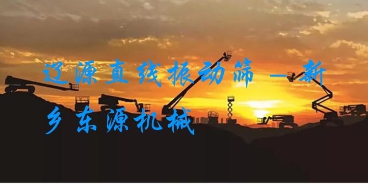 遼源直線振動(dòng)篩 - 新鄉(xiāng)東源機(jī)械