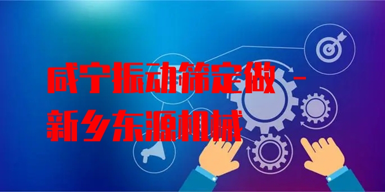 咸寧振動(dòng)篩定做 - 新鄉(xiāng)東源機(jī)械