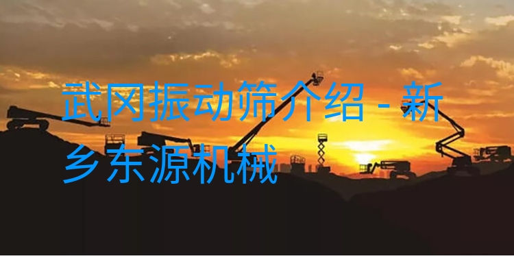 武岡振動(dòng)篩介紹 - 新鄉(xiāng)東源機(jī)械