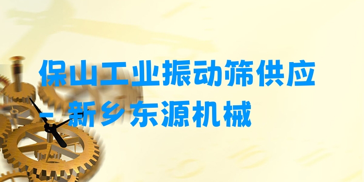 保山工業(yè)振動(dòng)篩供應(yīng) - 新鄉(xiāng)東源機(jī)械