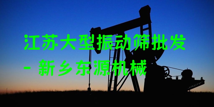江蘇大型振動(dòng)篩批發(fā) - 新鄉(xiāng)東源機(jī)械