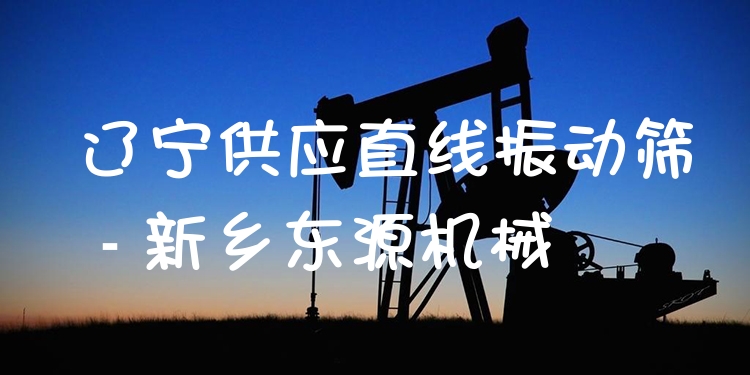 遼寧供應(yīng)直線振動(dòng)篩 - 新鄉(xiāng)東源機(jī)械