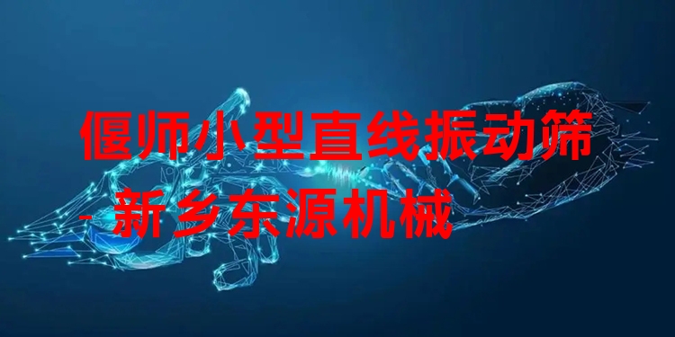 偃師小型直線振動(dòng)篩 - 新鄉(xiāng)東源機(jī)械