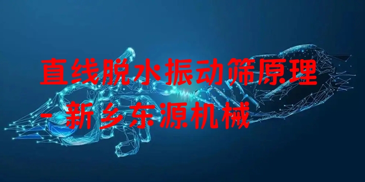 直線脫水振動(dòng)篩原理 - 新鄉(xiāng)東源機(jī)械