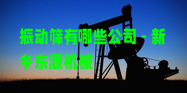振動篩有哪些公司 - 新鄉(xiāng)東源機(jī)械