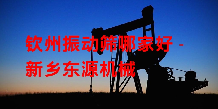 欽州振動(dòng)篩哪家好 - 新鄉(xiāng)東源機(jī)械