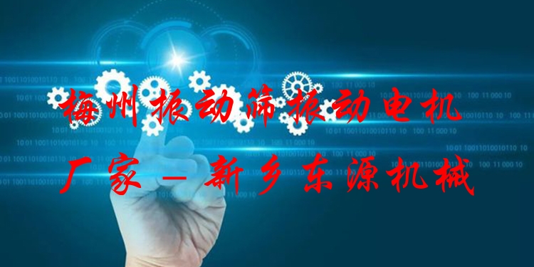 梅州振動(dòng)篩振動(dòng)電機(jī)廠家 - 新鄉(xiāng)東源機(jī)械