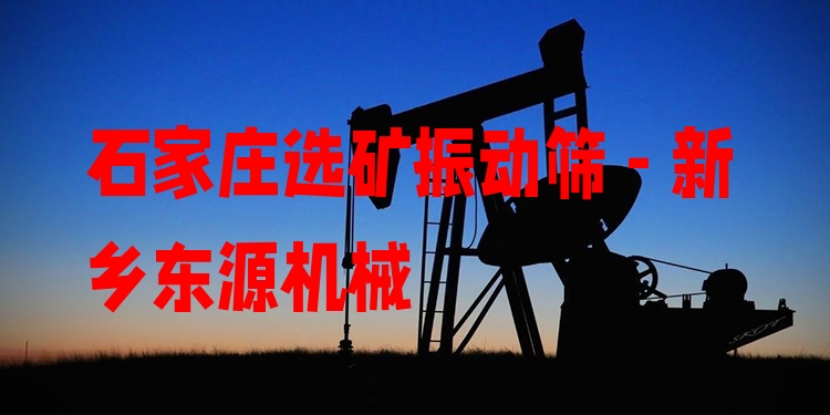 石家莊選礦振動(dòng)篩 - 新鄉(xiāng)東源機(jī)械