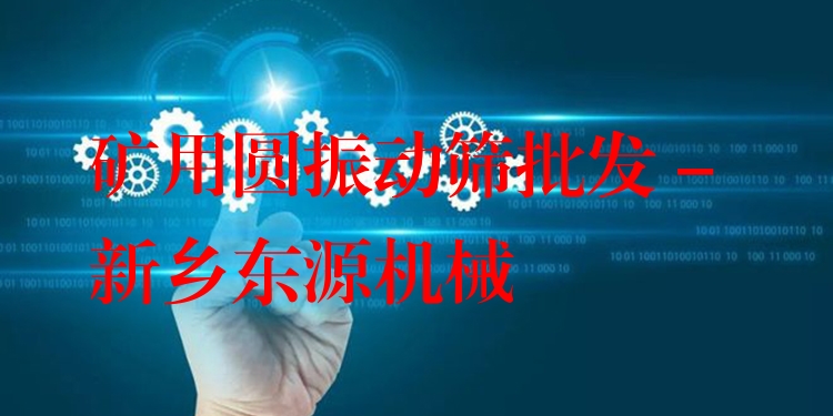 礦用圓振動篩批發(fā) - 新鄉(xiāng)東源機械