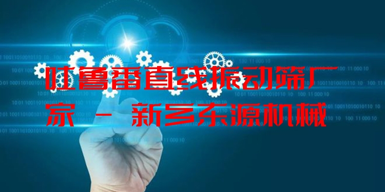 吐魯番直線振動(dòng)篩廠家 - 新鄉(xiāng)東源機(jī)械