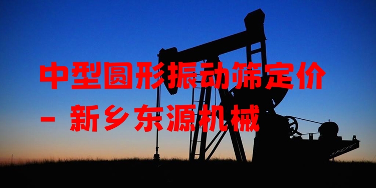 中型圓形振動(dòng)篩定價(jià) - 新鄉(xiāng)東源機(jī)械