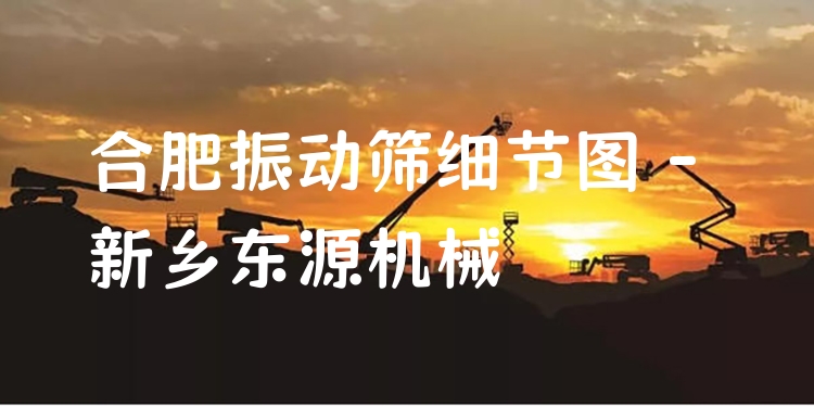 合肥振動篩細節(jié)圖 - 新鄉(xiāng)東源機械