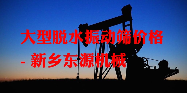 大型脫水振動篩價格 - 新鄉(xiāng)東源機械