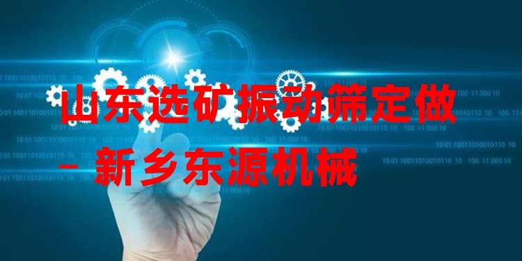 山東選礦振動篩定做 - 新鄉(xiāng)東源機(jī)械